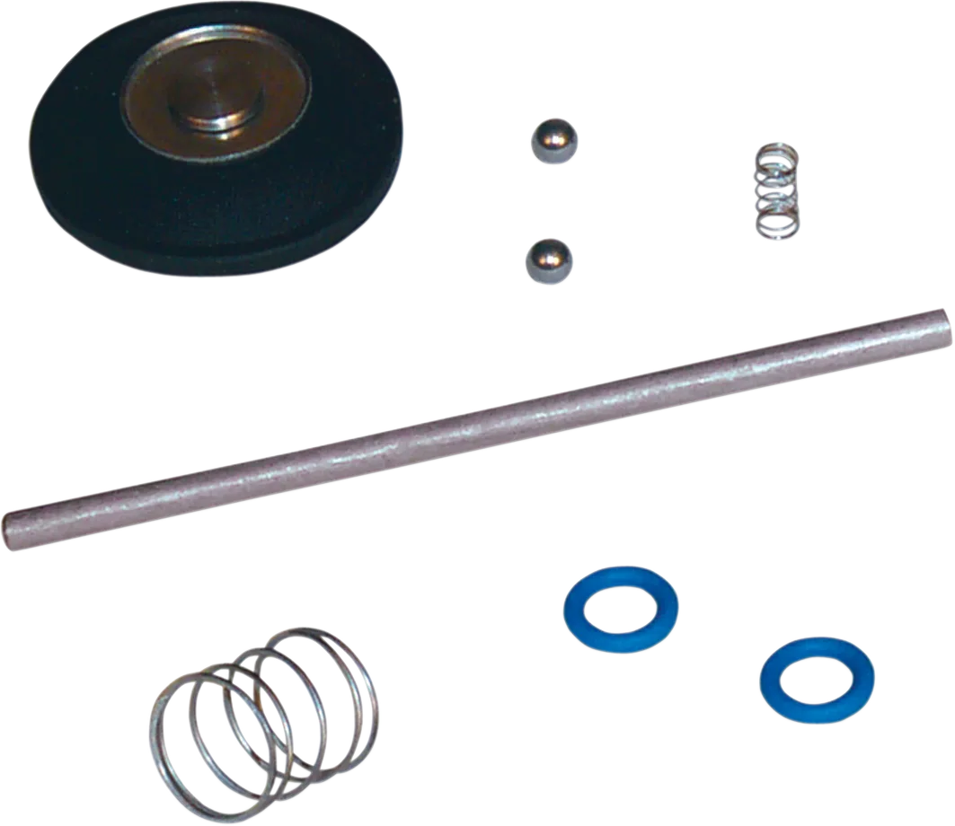 Accelerator Pump Rebuild Kit
