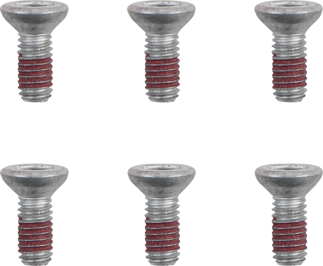 Brake Rotor Bolts