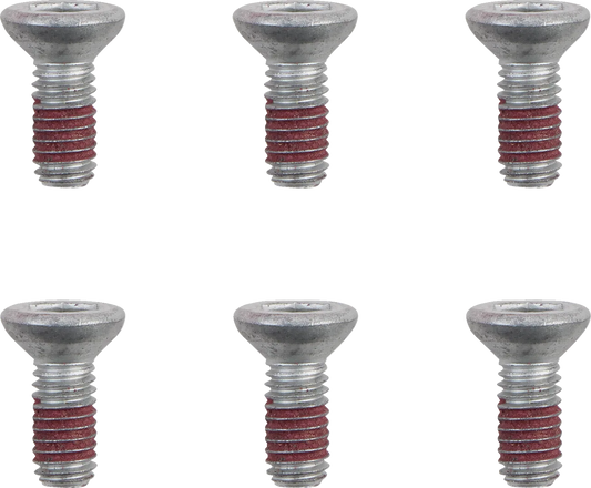 Brake Rotor Bolts
