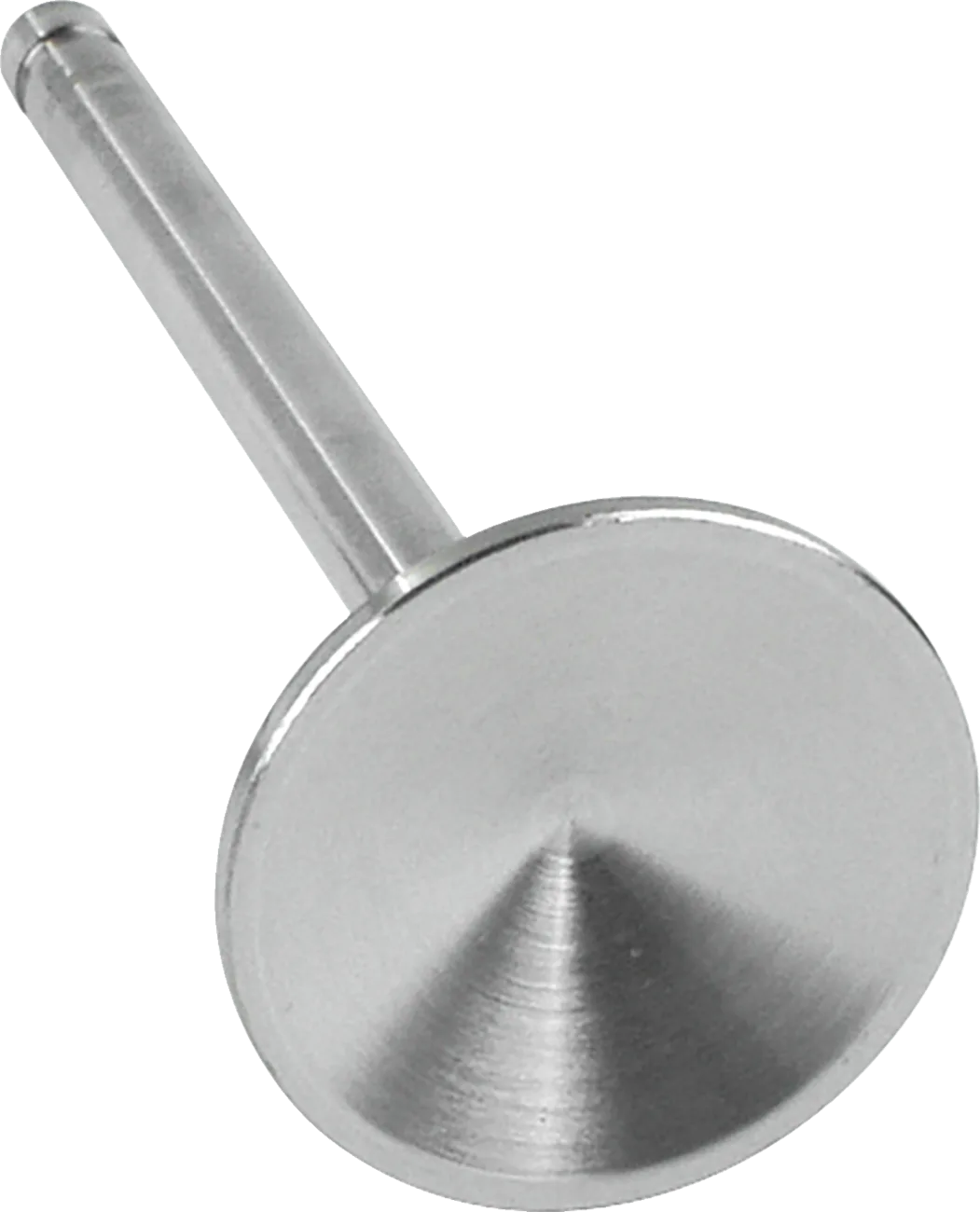 Replacement Stainless Steel Valves for S&S Heads