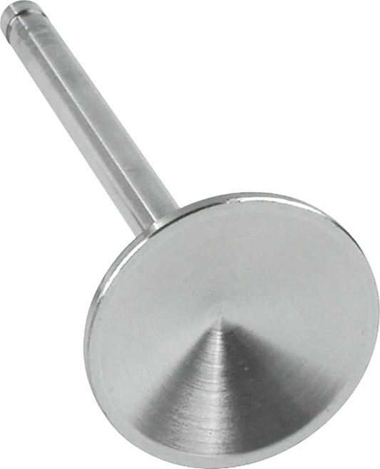 Replacement Stainless Steel Valves for S&S Heads