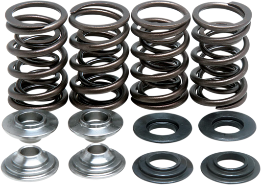 Lightweight Racing Valve Spring Kit