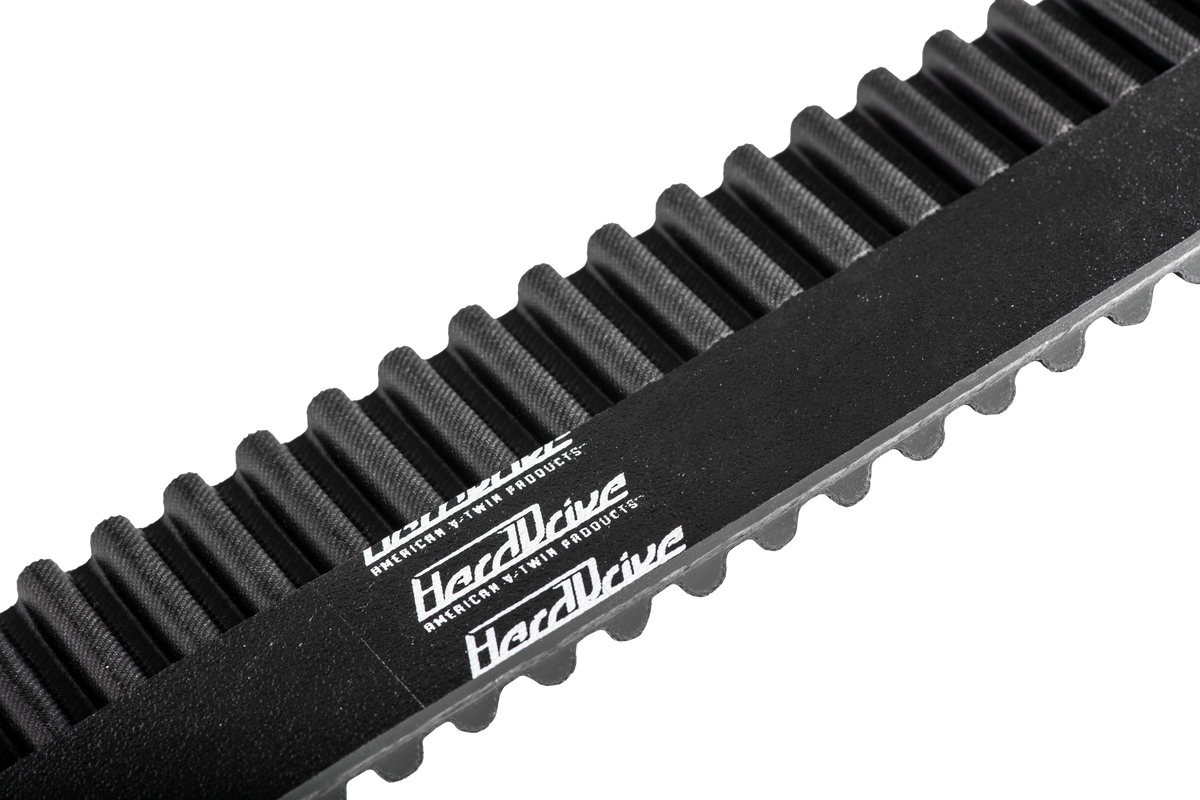 24MM Rear Belt