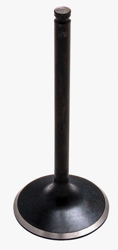 Intake Valve