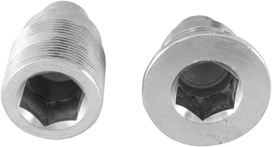 Swing Arm Bolt Kit