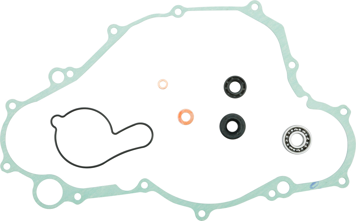 Water Pump Repair Kit