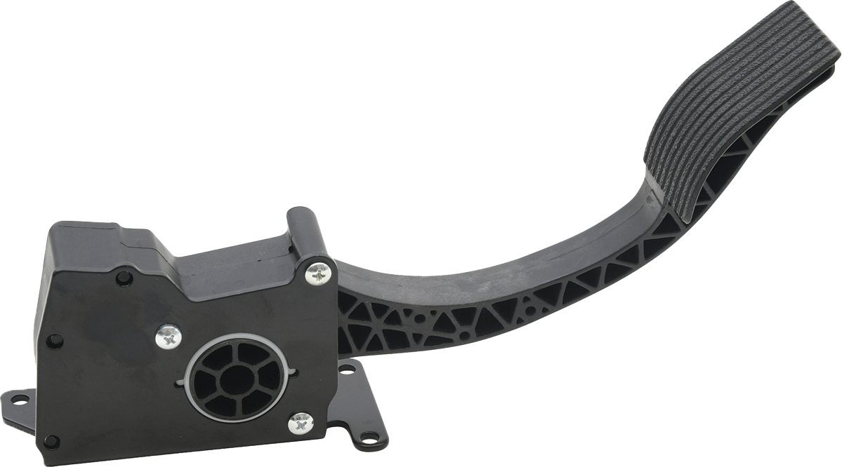 Ride by Wire Throttle Assembly