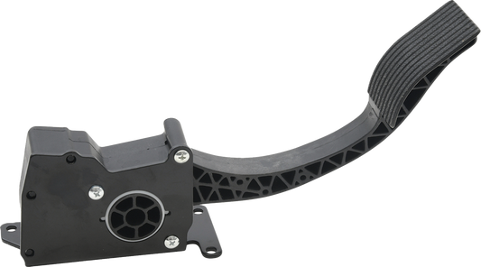 Ride by Wire Throttle Assembly