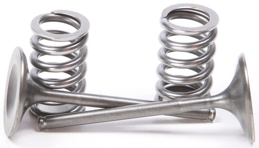 Steel Intake Spring Kit