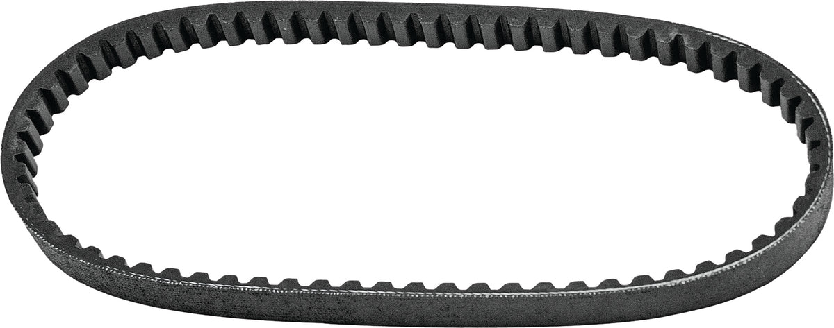 Drive Belt
