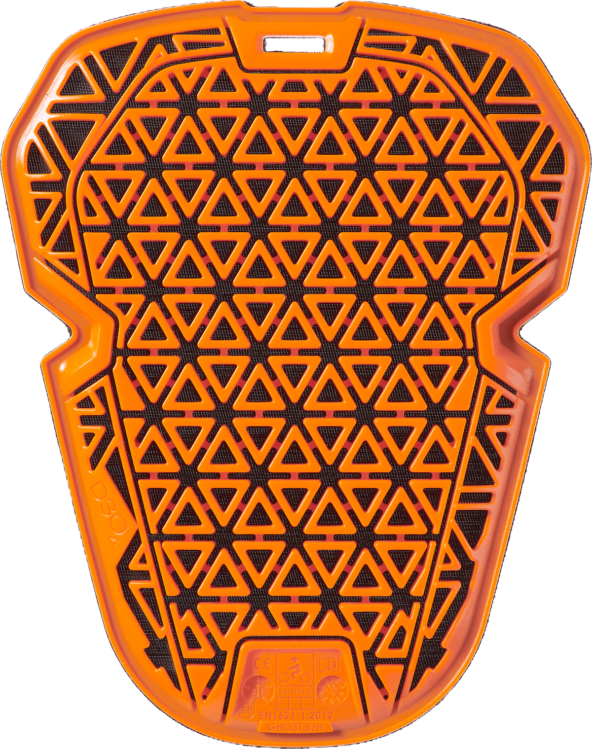 D30 Ghost Protector