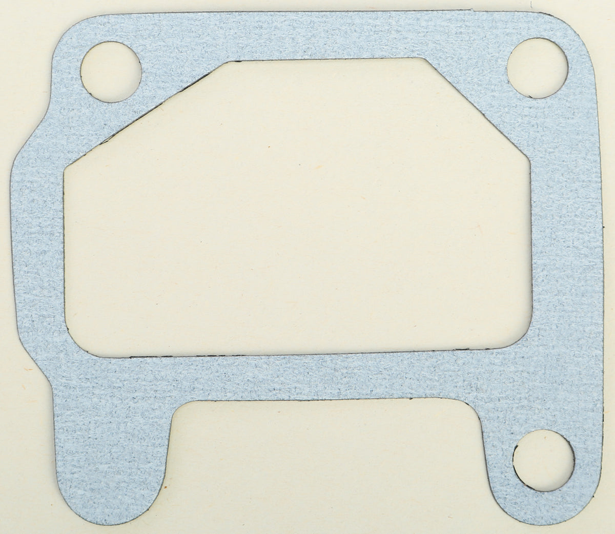 Intake/Reed Valve Gasket