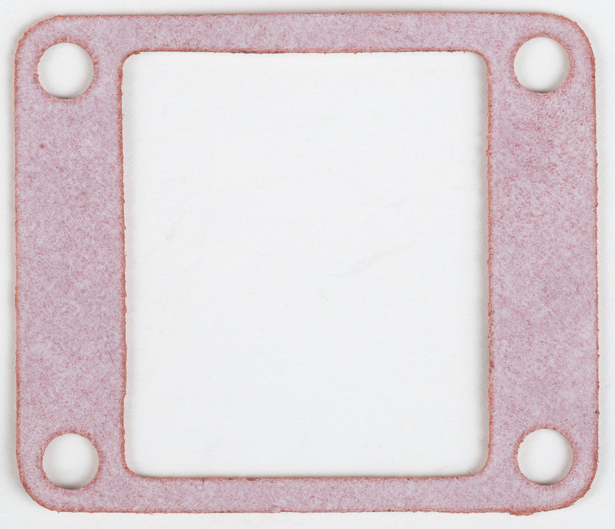 Rad Valve Gasket