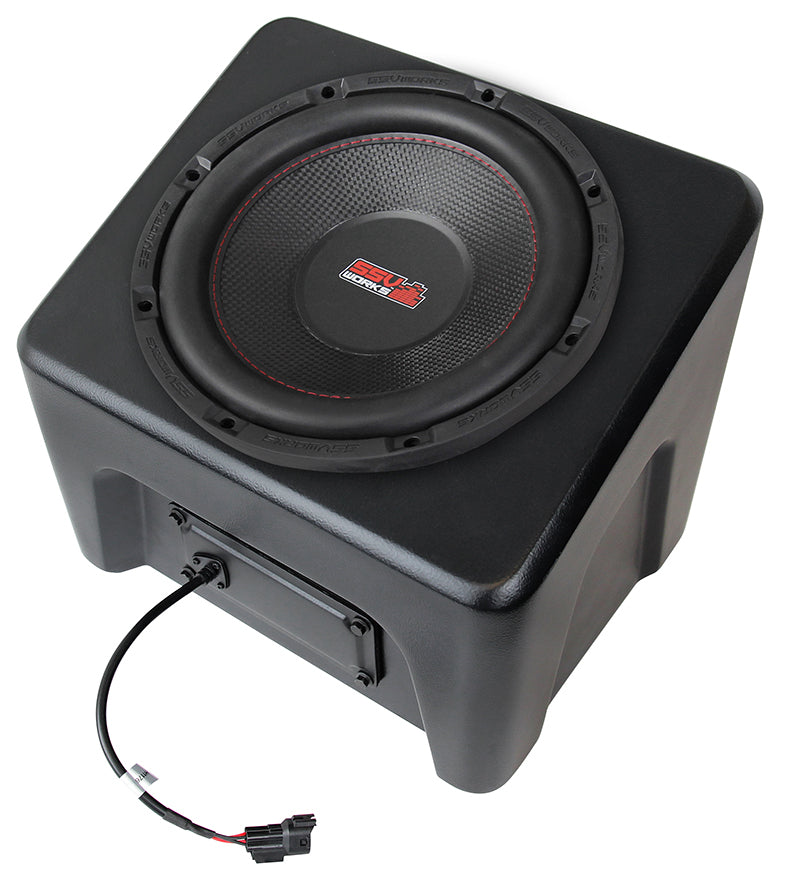 Ssv 10" Subwoofer And Box