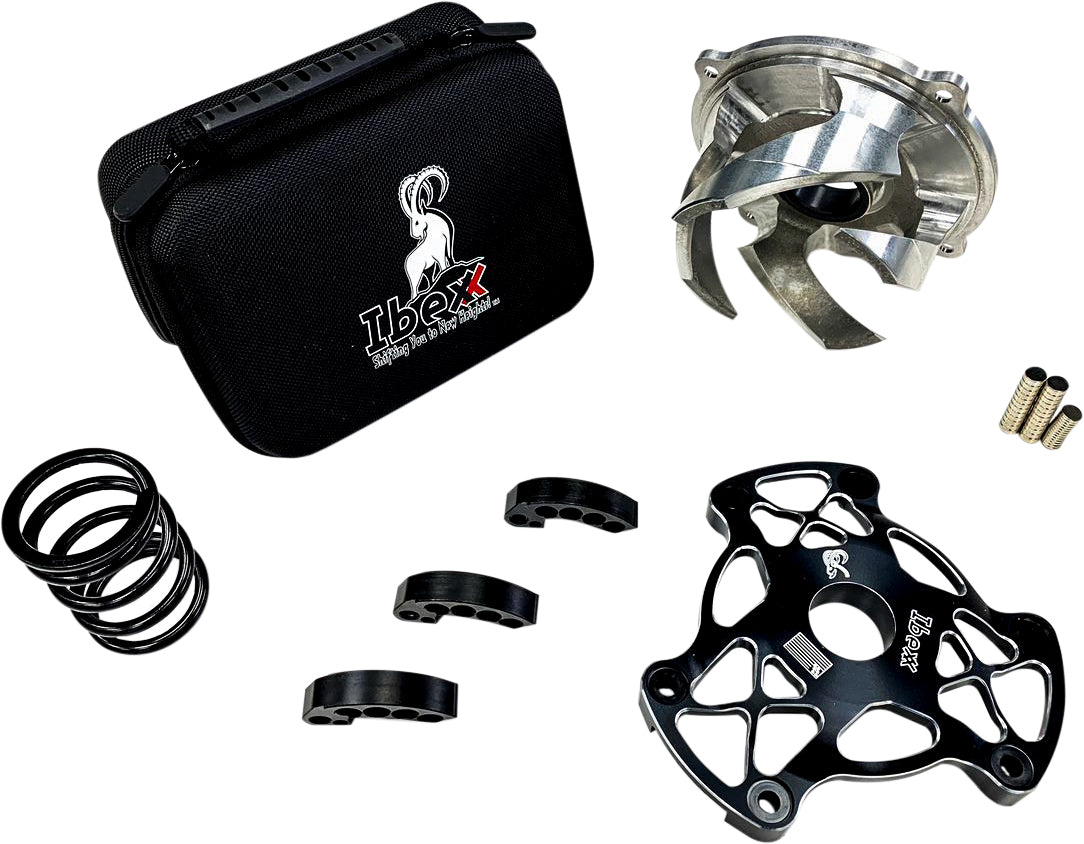 Stage 2 Clutch Kit