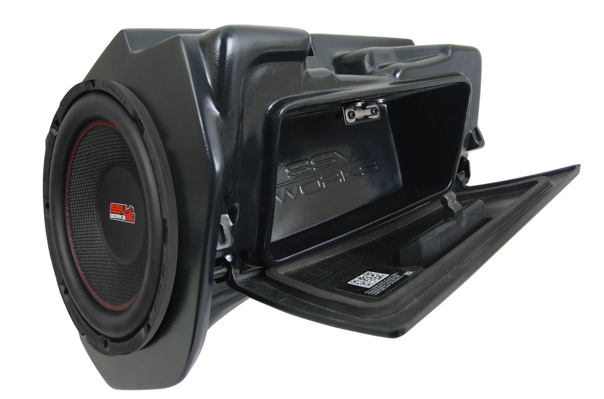 Ssv 10" Subwoofer And Box