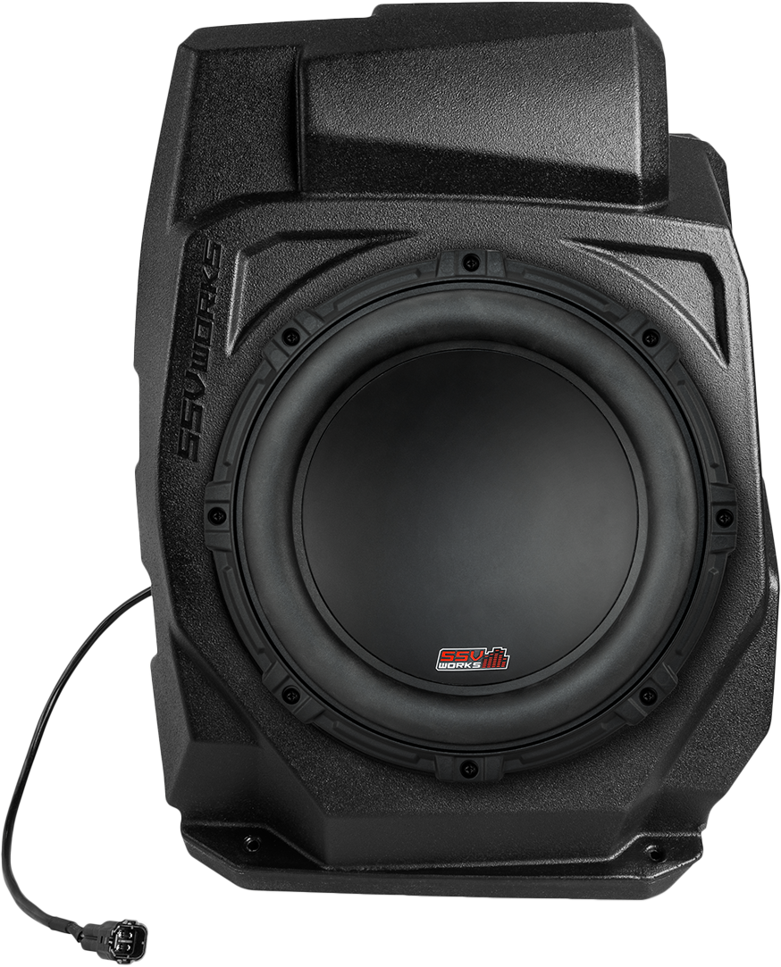 Ssv 10" Subwoofer And Box