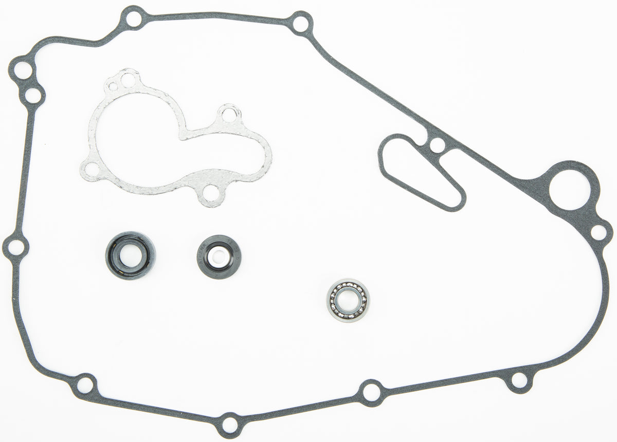 Water Pump Repair Kit