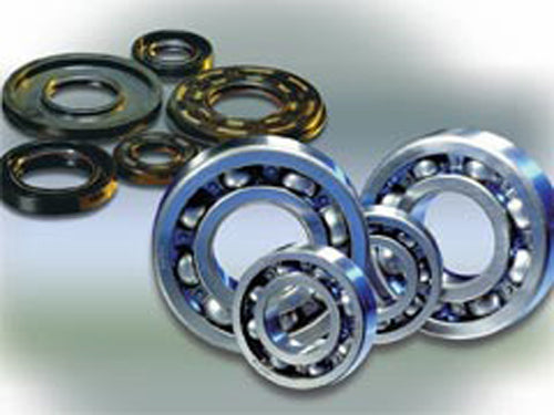 Crankshaft Bearing