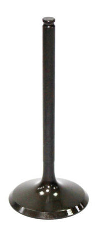 Exhaust Valve