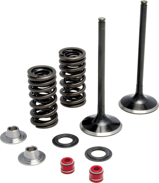 Intake Valve Spring Kit