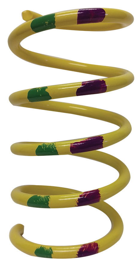 Steel Primary Spring
