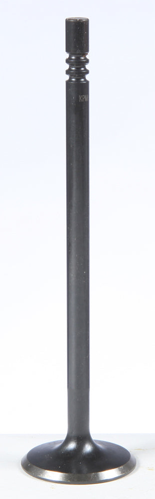Exhaust Valve
