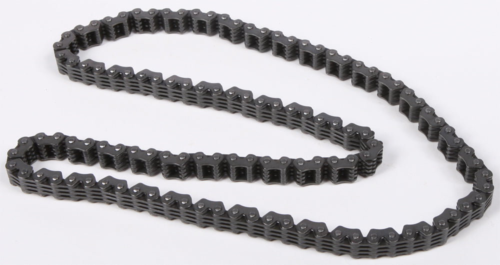 Cam Chain