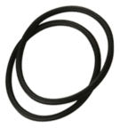 Exhaust Spring/O-Ring Kit