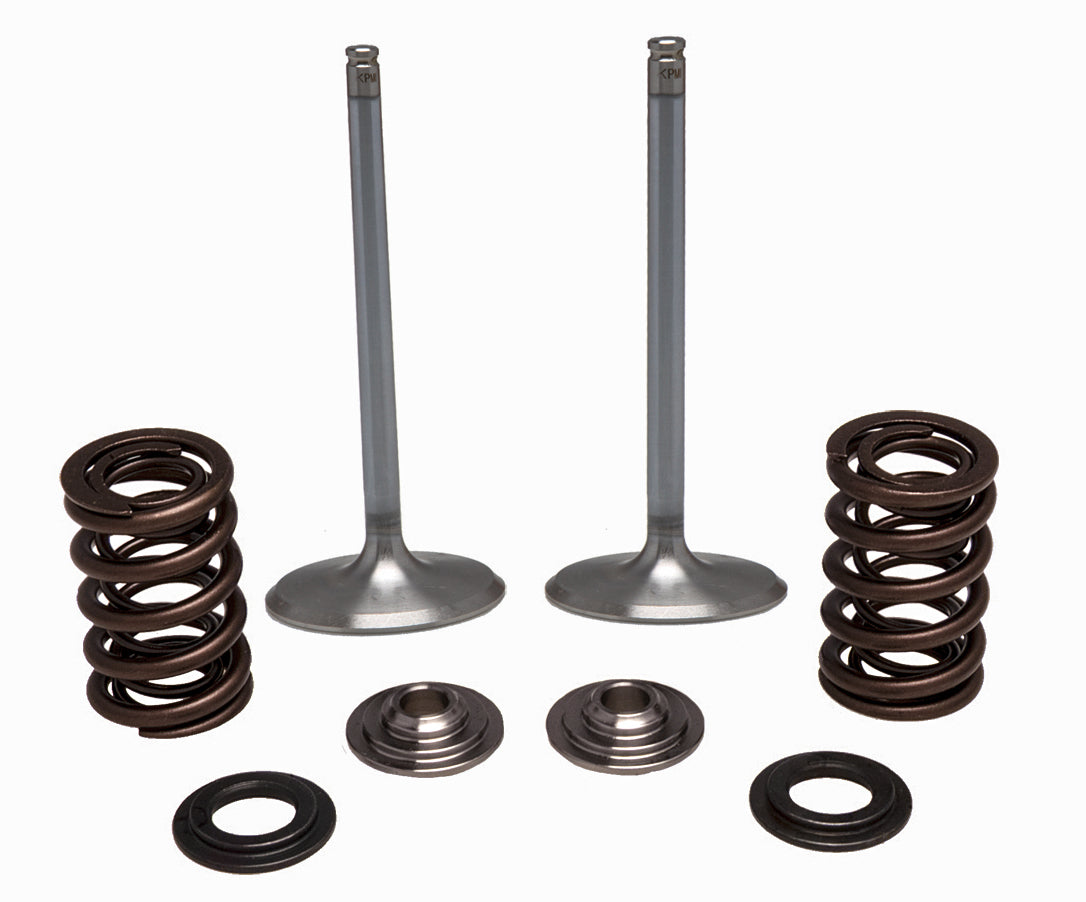 Intake Valve Spring Kit