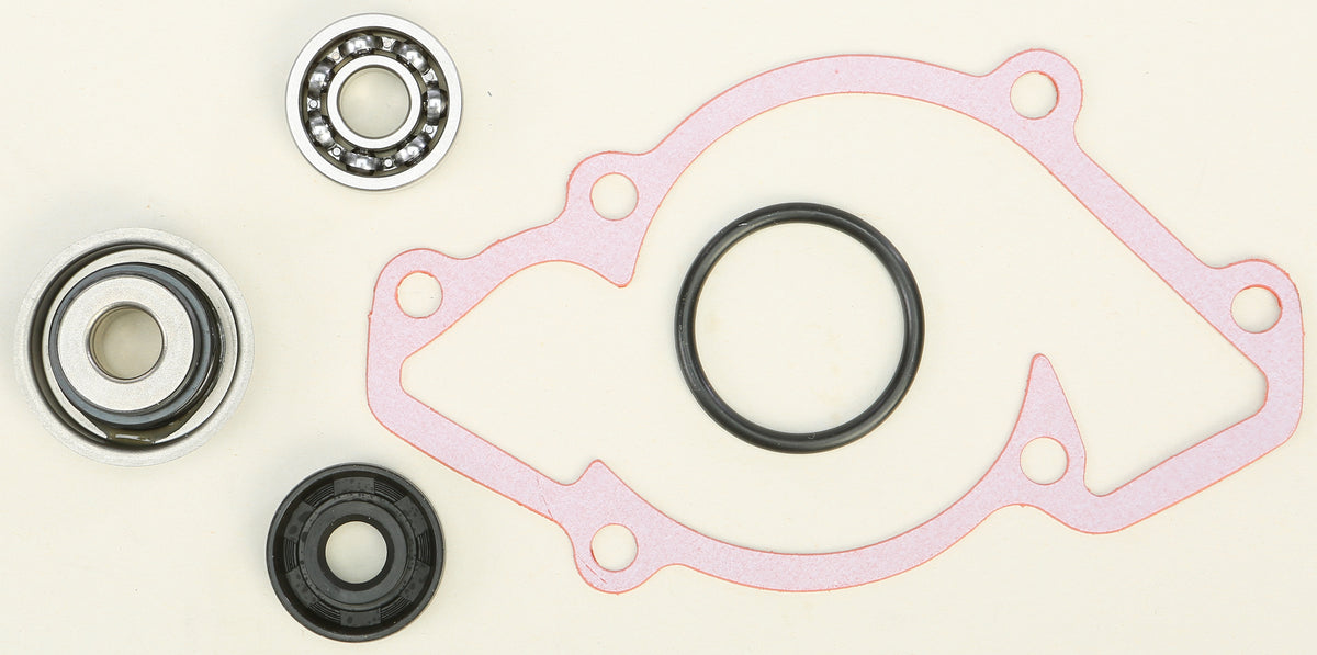 Water Pump Rebuild kit