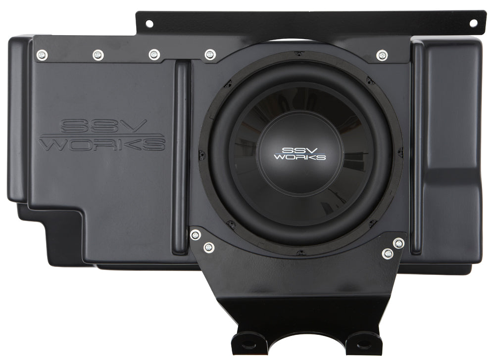 Ssv 10" Subwoofer And Box