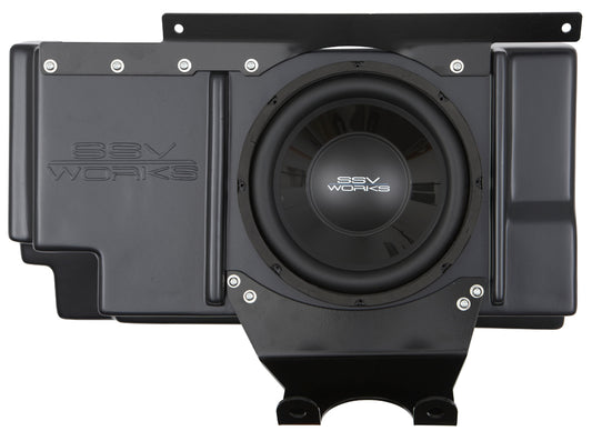 Ssv 10" Subwoofer And Box