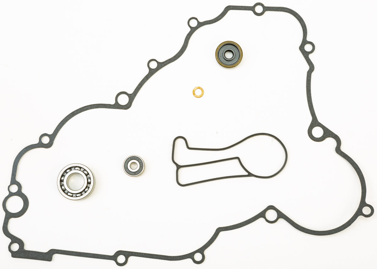 Water Pump Repair Kit