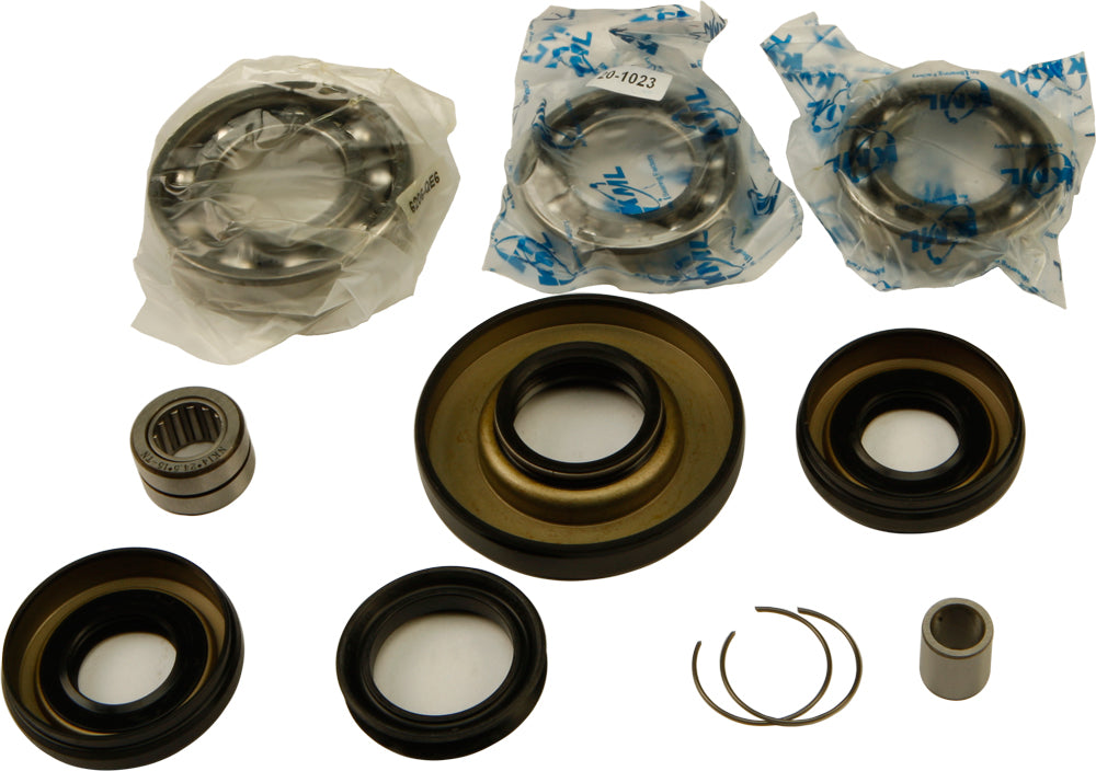 Differential Bearing & Seal Kit