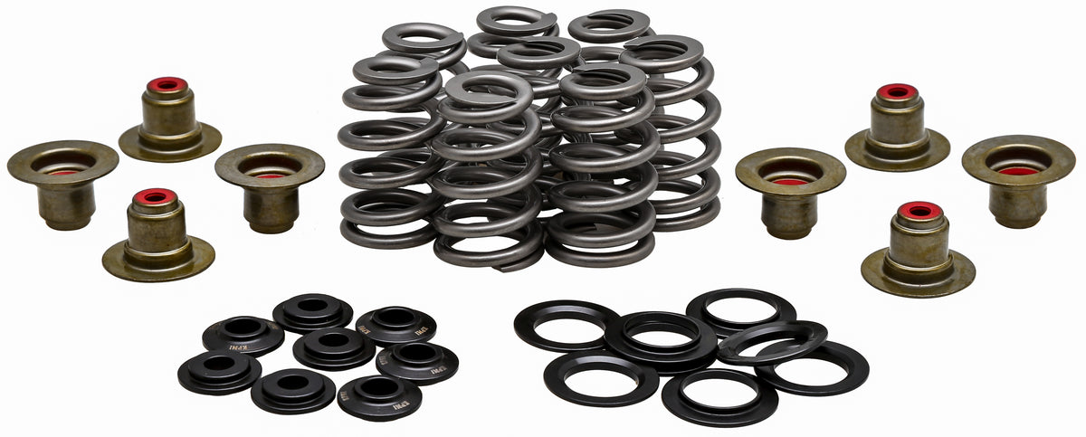 Valve Spring Kit