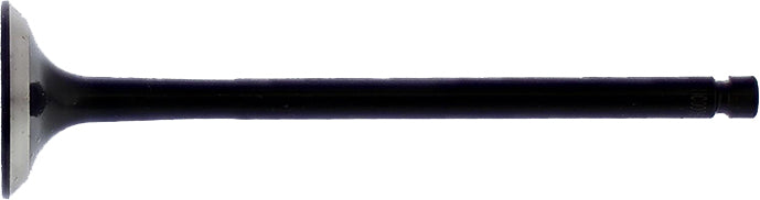 Exhaust Valve