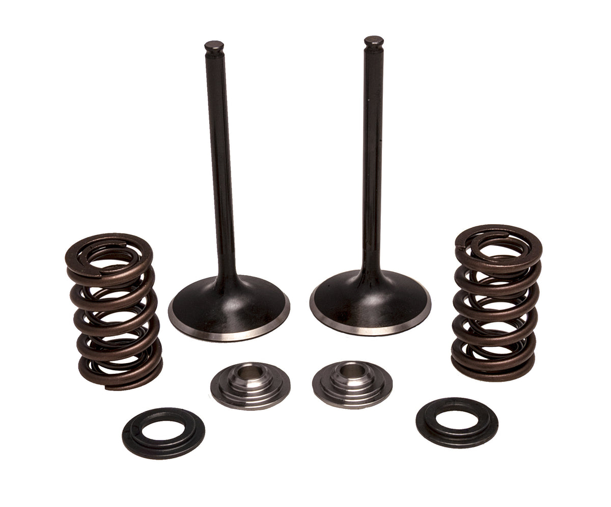 Intake Valve Spring Kit