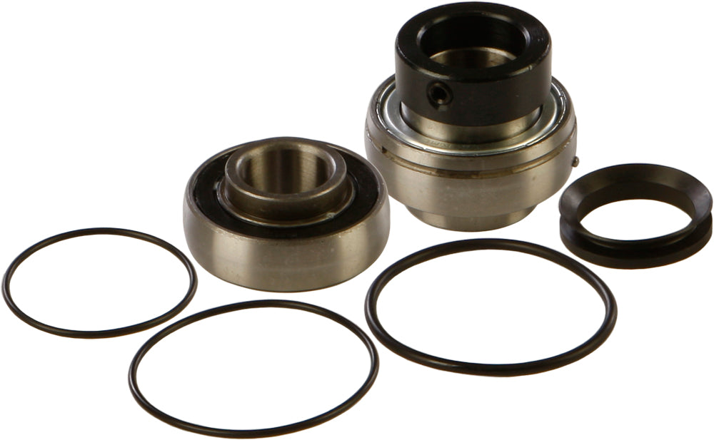 Chaincase Bearing and Seal Kit
