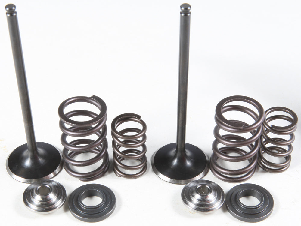 Intake Valve Spring Kit