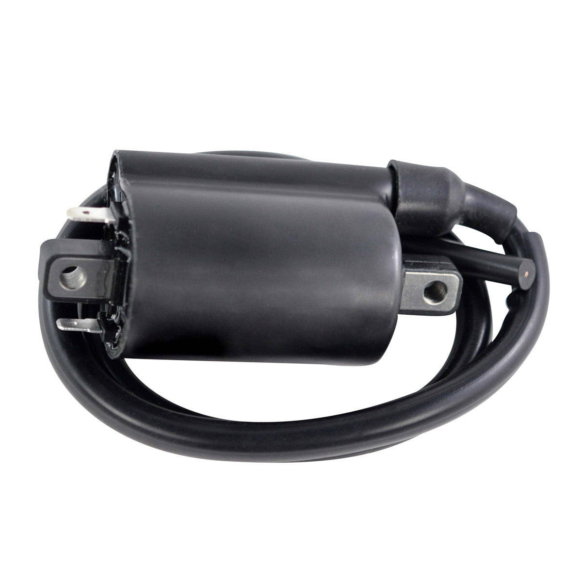 External Ignition Coils