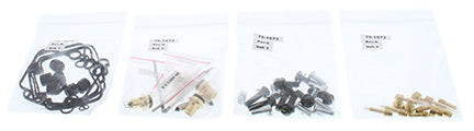 Carburetor Rebuild Kit