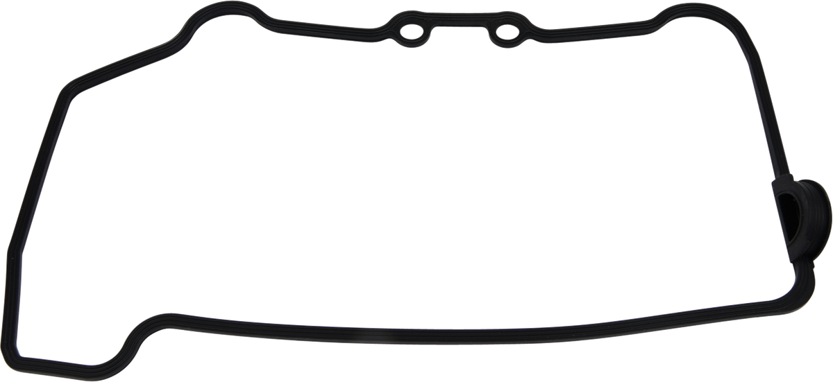 Valve Cover Gasket