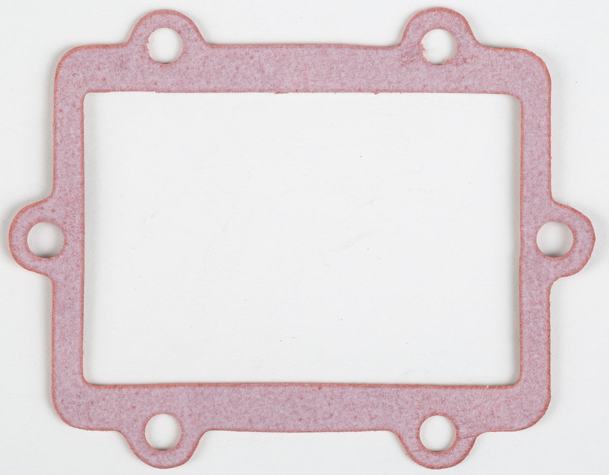 Rad Valve Gasket