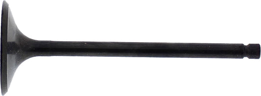 Intake Valve
