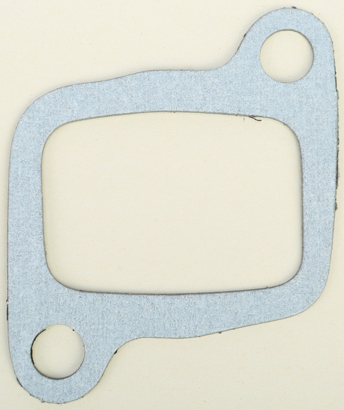Intake/Reed Valve Gasket