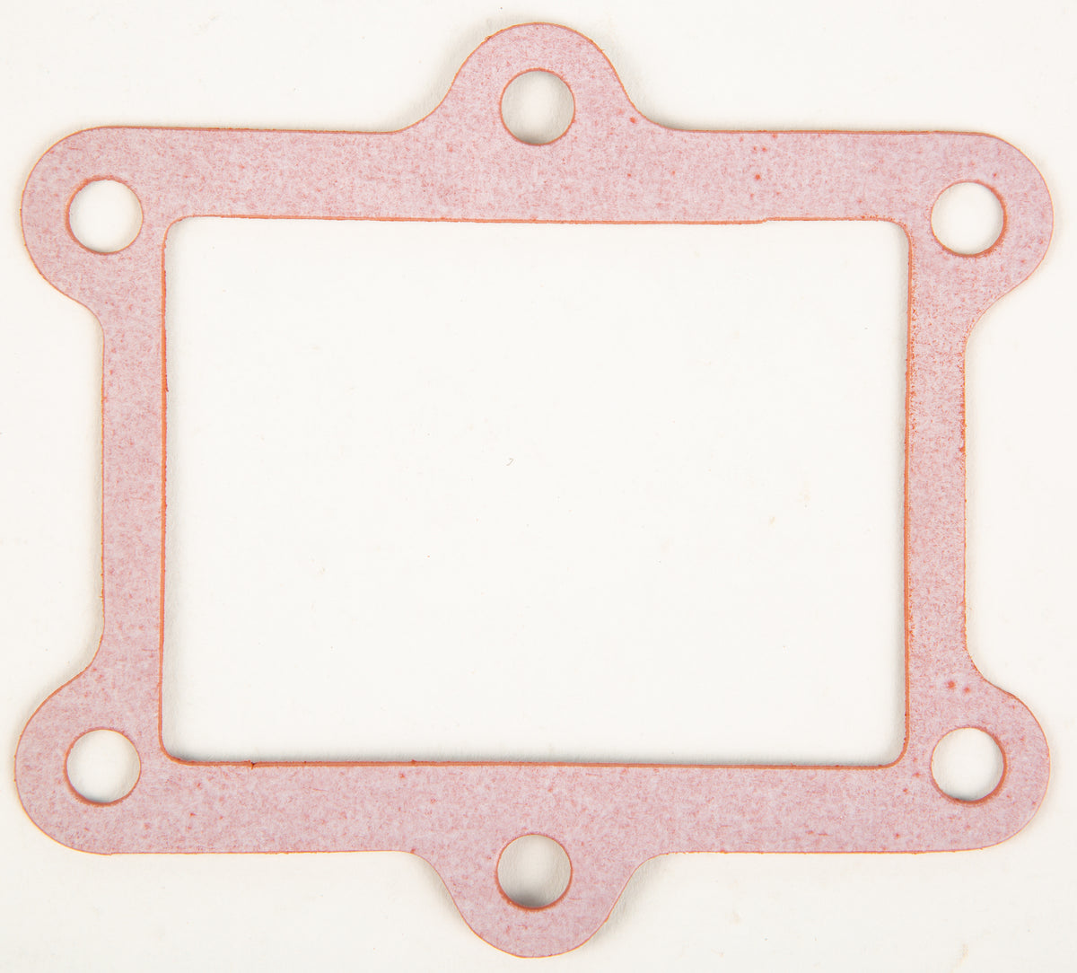 Rad Valve Gasket