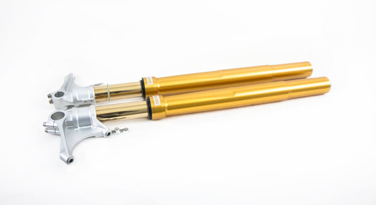 Ohlins Road & Track Fork FGRT 218 BMW R nineT (gold)