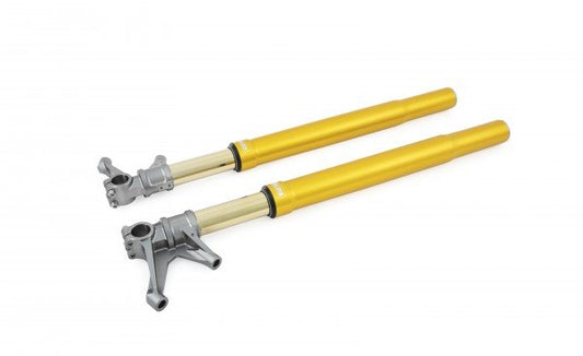 Front fork Superbike Hypersport Superbike Fork All Custom FGR 300 Superbike 770mm FGR 250